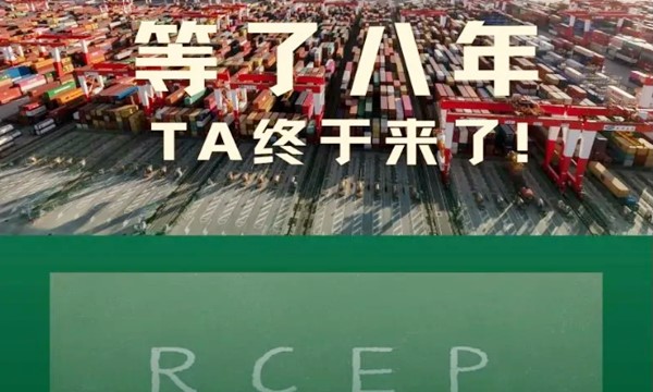 RCEP進出口協(xié)議