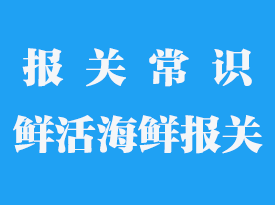 海鮮進(jìn)口清關(guān)：流程、注意事項(xiàng)與成功秘訣