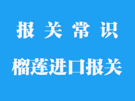  泰國(guó)榴蓮進(jìn)口報(bào)關(guān)費(fèi)用_榴蓮進(jìn)口報(bào)關(guān)流程
