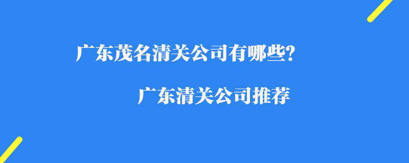 廣東茂名清關(guān)公司有哪些？廣東清關(guān)公司推薦