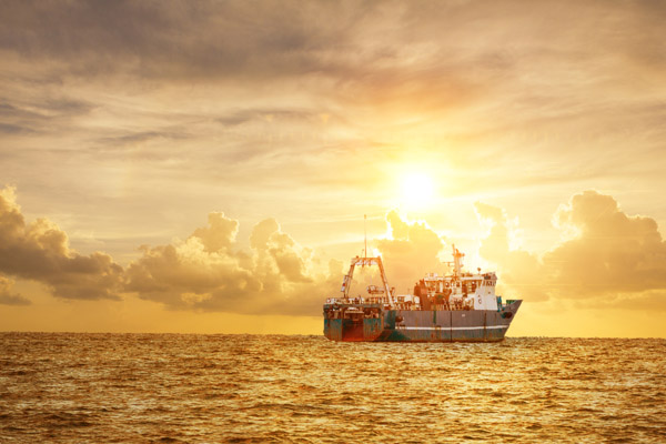 中集世聯(lián)達物流服務(上海)有限公司 中集世聯(lián)達物流服務(上海)有限公司