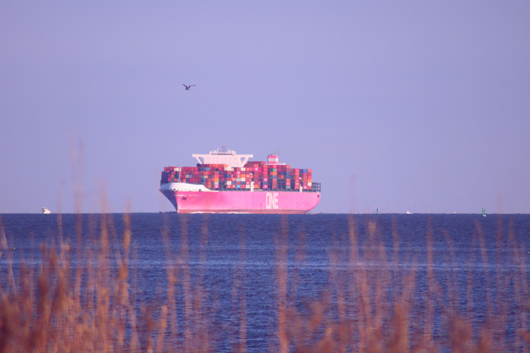 山東油漆涂料進(jìn)口報(bào)關(guān)