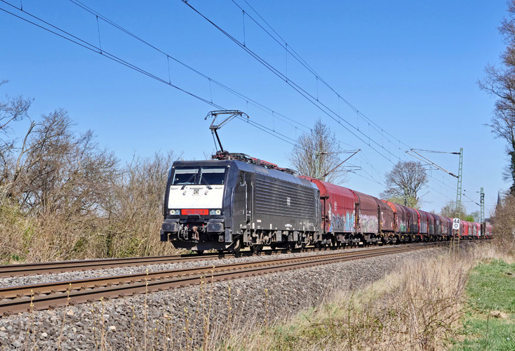 天津進(jìn)口羊肉報關(guān)服務(wù) 天津進(jìn)口羊肉報關(guān)服務(wù)