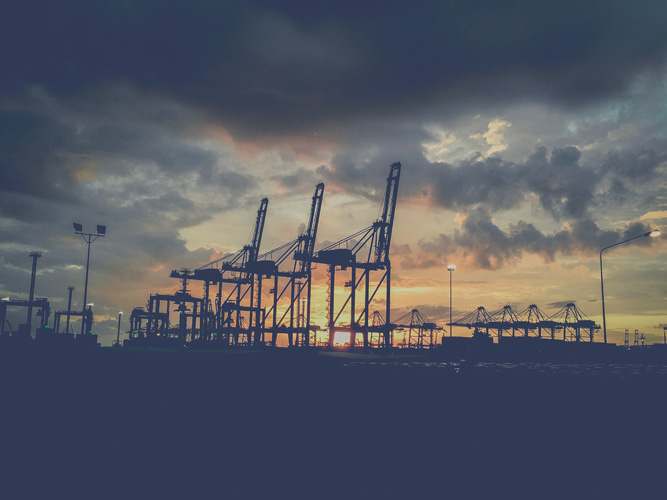 深圳葵花油進(jìn)口報關(guān)行