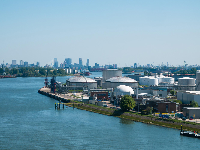 天津扁核桃進(jìn)口報(bào)關(guān)價(jià)位