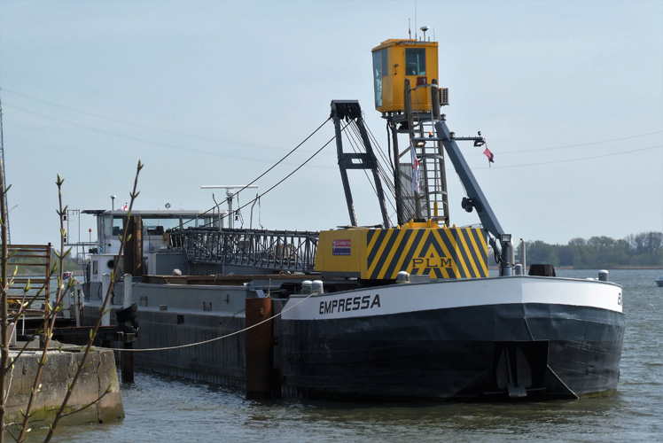 深圳進口翅中報關流程