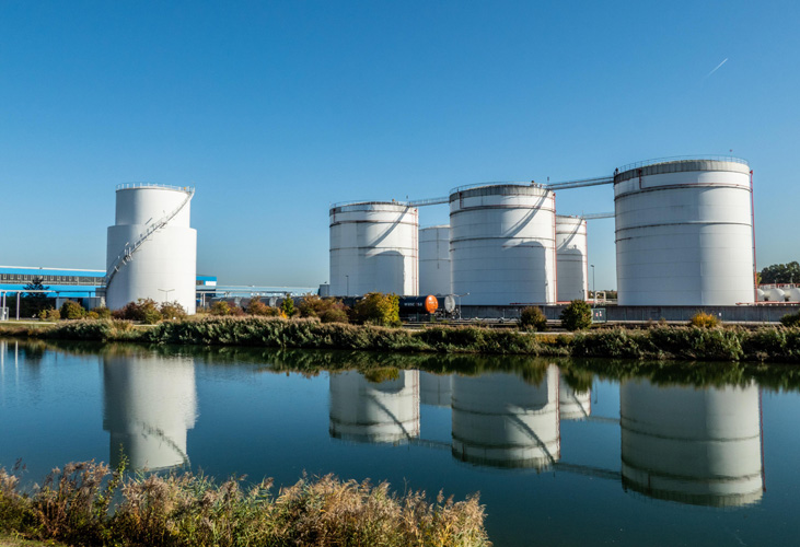 天津椰子油進口報關流程