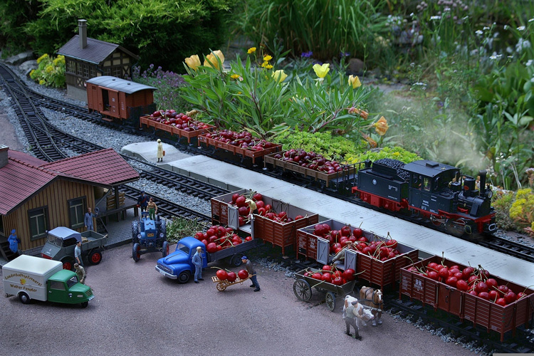 深圳塑型膏進口報關(guān)代理