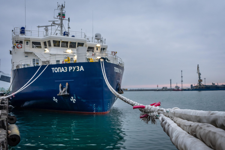 深圳供應(yīng)狗糧進(jìn)口報(bào)關(guān)