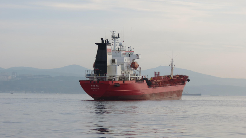 天津港進(jìn)口木材報關(guān)