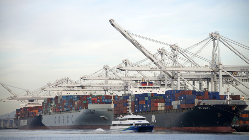 寧波榴蓮進口報關(guān)資料