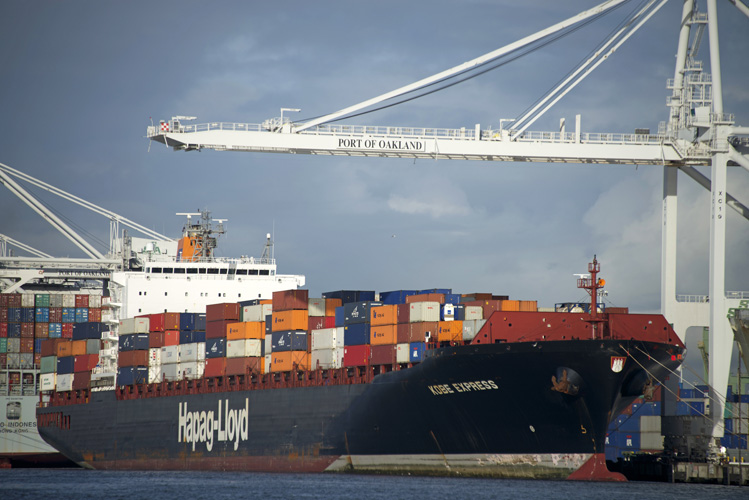 深圳進口翅尖報關(guān)手續(xù)