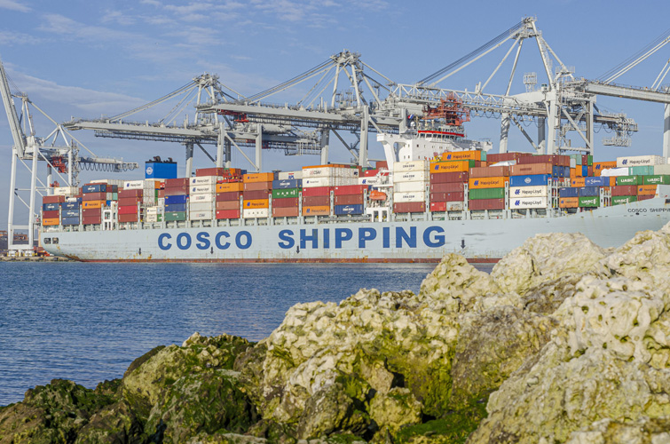 油漆進(jìn)口報(bào)關(guān)門到門