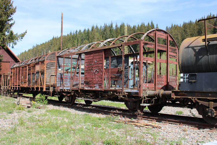 上海報(bào)關(guān)協(xié)會(huì)部門經(jīng)理