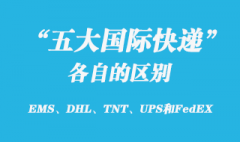 EMS、DHL、TNT、UPS和FedEX國(guó)際快遞有哪些區(qū)別？