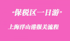 上海洋山港保稅區(qū)一日游報關(guān)流程