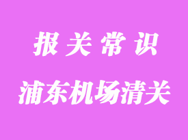 冷凍蝦浦東機(jī)場(chǎng)進(jìn)口清關(guān)代理服務(wù)流程簡(jiǎn)述